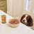 Opened can of Lily's Kitchen Sunday Lunch wet food next to a bowl filled with the food, placed on a kitchen counter.