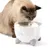 Katze trinkt aus einem weissen Trinkbrunnen mit Katzendesign und fliessendem Wasser.