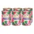 Lot de 6 boîtes Terra Canis English Rose, texte visible : Lamm mit Gartengemüse & Rosenblättern, 100 % natural, décorées de roses et feuilles vertes.