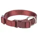 Trixie Premium Halsband, sangria - Größe M - L: 35 - 55 cm Halsumfang, 20 mm breit