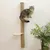 Kratzbaum aus Holz mit zwei Plattformen und Sisal umwickelt. Katze sitzt auf oberer Plattform. Pflanze im Vordergrund.