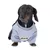 Cane con maglione grigio e logo Batman sul davanti.