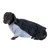 Bassotto con cappotto grigio per cani e copertura nera, adatto a condizioni climatiche fredde.