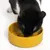 Gatto bianco e nero mangia da una ciotola gialla con logo in rilievo 'HP'.