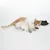 Chat allongé à côté de trois jouets en tissu (gris, vert et blanc) et d'une pochette noire. Aucun texte visible sur les jouets ou la pochette.