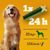 Pedigree Dentastix Fresh Dagelijks Fris