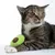 Tabby cat with green plush toy shaped like an avocado under its paw.