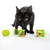 Black cat playing with colourful plastic toy rolls containing small red balls.