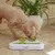 Dog playing with interactive toy made of white plastic and green elements, suitable for activity or feeding.