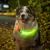 TIAKI LED-Halsband für langhaarige Hunde