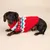 Hund trägt roten Pullover mit buntem Zickzackmuster und weissen Pompons. Produkt zeigt Hundebekleidung für kalte Tage.