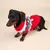 Schwarzer Dackel trägt roten Pullover mit buntem Zickzackmuster und weissen Pompons. Produkt zeigt Hundebekleidung für kalte Tage.
