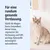 Für eine rundum gesunde Verdauung. Stärkt die Magen-Darm-Gesundheit deiner Katze, regeneriert die Verdauung und hilft, wichtige Nährstoffe bestmöglich aufzunehmen. Für eine rundum gesunde Verdauung. Stärkt die Magen-Darm-Gesundheit deiner Katze, regeneriert die Verdauung und hilft, wichtige Nährstoffe bestmöglich aufzunehmen.