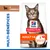 Hill's Science Plan Adult agneau, riz