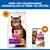 Hill's Science Plan Sensitive Stomach & Skin Adult 1+ kylling