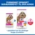 Hill's Science Plan Senior 11+ Small & Mini Kylling