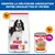 Hill's Science Plan Adult 1-6 Medium Poulet