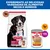 Hill's Science Plan Adult 1-5 Large com cordeiro e arroz