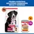 Hill's Science Plan Adult 1-5 Large con cordero y arroz