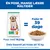Hill's Science Plan Puppy <1 Large med kylling