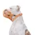 Hund mit orangefarbenem Maulkorb aus Kunststoff und verstellbarem Riemen. Markenetikett 'Baskerville' sichtbar am Halsband.
