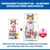 Hill's Science Plan Adult 1-6 Sterilised poulet pour chat
