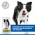 Hill's Science Plan Senior Vitality Mature Adult 7+ Medium med kylling & ris