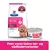 Hill's Prescription Diet Gastrointestinal Biome Mini hundefoder med kylling Hill's Prescription Diet Gastrointestinal Biome Mini hundefoder med kylling