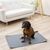 Kerbl Pet Waschbare Urinunterlage, grau