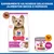 Hill's Science Plan Adult 1-6 Small & Mini com cordeiro e arroz