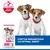 Hill's Science Plan Puppy <1 Small & Mini med kylling