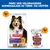 Hill's Science Plan Adult Dog Sensitive Stomach & Skin