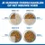 Hill's Science Plan Adult Sensitive Stomach & Skin pour chien