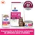 Hill's Prescription Diet Gastrointestinal Biome para gatos, cuidado digestivo/fibras, clinicamente comprovado, digestão saudável em 24 horas. Ração seca e húmida ilustradas. Hill's Prescription Diet Gastrointestinal Biome para gatos, cuidado digestivo/fibras, clinicamente comprovado, digestão saudável em 24 horas. Ração seca e húmida ilustradas.