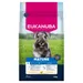 Eukanuba Premium Nutrition Mature Small Breed Huhn - 7,5 kg