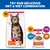 Hill's Science Plan Adult 1-6 dry food with chicken and wet food Premium Chunks in Gravy with turkey, symbols for chicken, beef, fish and turkey visible. Hill's Science Plan Adult 1-6 dry food with chicken and wet food Premium Chunks in Gravy with turkey, symbols for chicken, beef, fish and turkey visible.