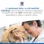Hill's: Viac ako 220 veterinárov, odborníkov na výživu a vedcov pracuje na optimálnej výžive pre domáce zvieratá.