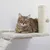 Kerbl Pet Kletterwand Matterhorn für Katzen, beige