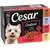 Cesar Creations hyytelössä, 12 x 100g annospussit. Maut: kalkkuna & porkkana, lammas & vihannekset, naudanliha & porkkana, kana & herneet. 100 % täysipainoinen ja tasapainoinen. Cesar Creations hyytelössä, 12 x 100g annospussit. Maut: kalkkuna & porkkana, lammas & vihannekset, naudanliha & porkkana, kana & herneet. 100 % täysipainoinen ja tasapainoinen.