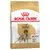 Royal Canin Adult Setter, över 12 månader. Skräddarsydd foderbit för atletisk kondition, glansig päls och matsmältningshälsa.