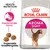 Royal Canin Aroma Exigent Katzenfutter mit ansprechendem Aroma und angepasster Krokettengrösse. Health Nutrition für anspruchsvolle Katzen. Royal Canin Aroma Exigent Katzenfutter mit ansprechendem Aroma und angepasster Krokettengrösse. Health Nutrition für anspruchsvolle Katzen.