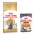 British Shorthair Adult (4 kg) + sachets - Hair & Skin Care en sauce