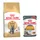 British Shorthair Adult (4 kg) + sachets - Hair & Skin Care en sauce