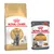 British Shorthair Adult (4 kg) + sachets - Hair & Skin Care en sauce