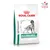 Royal Canin Veterinary Canin Glycobalance