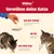 Milkies Verwöhne deine Katze: aus der Schale, als Eis oder aus dem Cup. Für genussvolle Schleckmomente und gefrorenen Genuss für heiße Tage.