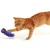 Chat roux jouant avec un jouet pour chat en tissu violet et paille visible, sur fond blanc.