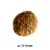 Croquette ronde, diamètre indiqué : ca. 13–14 mm