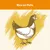 Rico en Pollo, Illustration eines Huhns