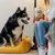Pooch & Mutt Peanut Butter Dental Sticks